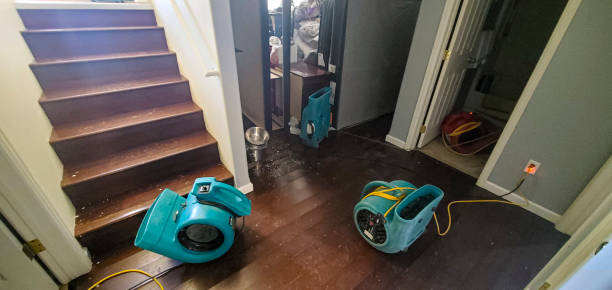 Best Emergency water damage restoration  in Church Point, LA