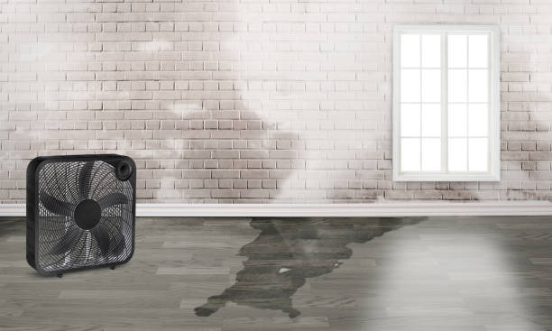 Best Water damage restoration insurance claims  in Church Point, LA