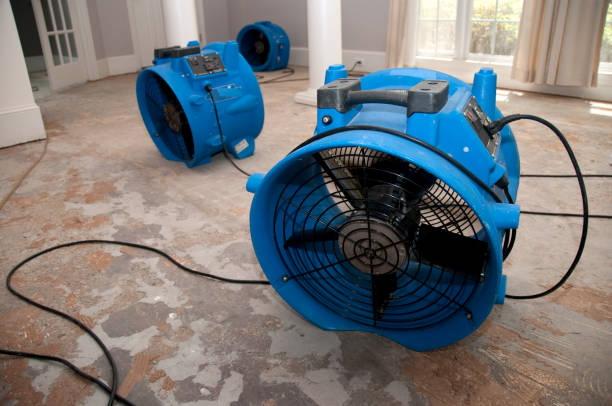 Best Mold removal after water damage  in Church Point, LA