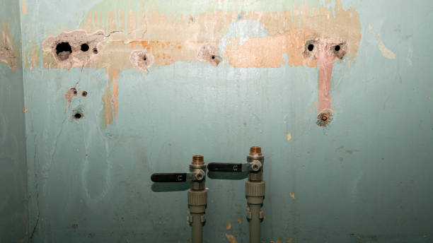 Best Flood damage cleanup  in Church Point, LA