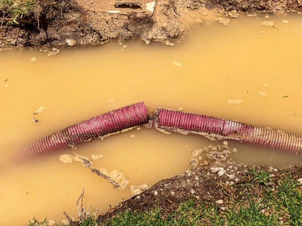 Best Sewage cleanup and water damage restoration  in Church Point, LA