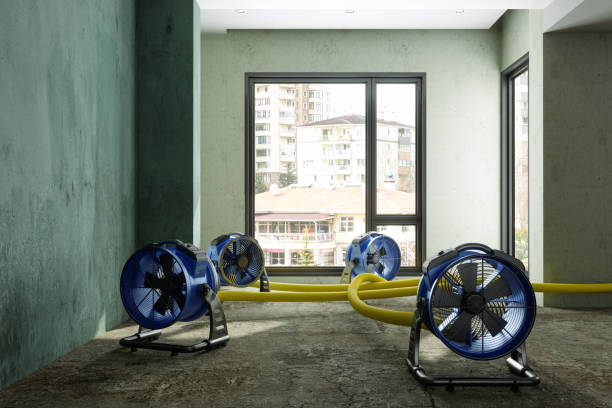Best Water damage repair service  in Church Point, LA