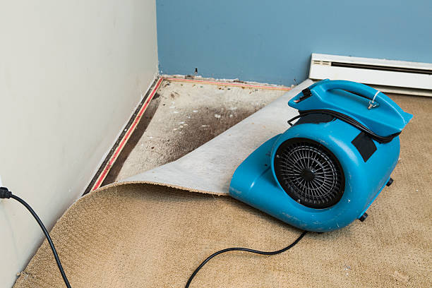 Best Sewage cleanup and water damage restoration  in Church Point, LA